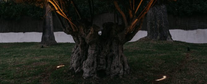 instalación de iluminación y domótica