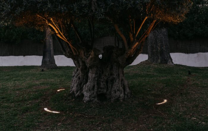 instalación de iluminación y domótica